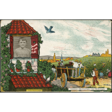 Travaux des Champs - Les Vendanges