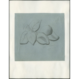 Feuilles