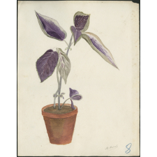 Feuille de dessin