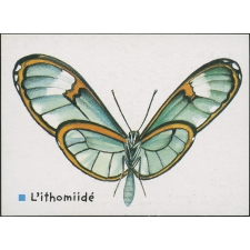 L'ithomiidé