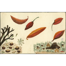 L'automne