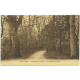 Ecole Fénelon - Vaujours (S.-&-O.) - Une Allée du Parc.