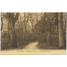 Ecole Fénelon - Vaujours (S.-&-O.) - Une Allée du Parc.
