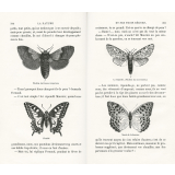 La Nature et ses trois règnes. Causeries et contes d'un bon papa sur l'histoire naturelle et sur les objets les plus usuels.