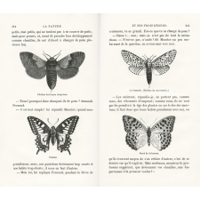 La Nature et ses trois règnes. Causeries et contes d'un bon papa sur l'histoire naturelle et sur les objets les plus usuels.