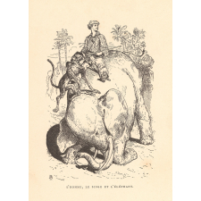 Les Déserts africains. Aventures extraordinaires d'un homme, d'un singe et d'un éléphant.