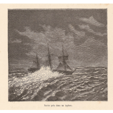 Les Naufragés de l'île Bornéo.