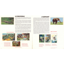 Les animaux en chansons