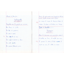 Cahier du jour
