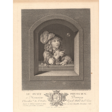 Le petit physicien