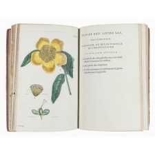 Recueil de plantes coloriées, pour servir à l'intelligence des Lettres élémentaires sur la Botanique de J. J. Rousseau