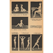 Mémento d'éducation physique [Texte imprimé] : conseils et plan de travail pour l'application des programmes d'éducation physique dans l'enseignement du premier degré.
