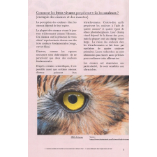 Travaux Personnels Encadrés : Sciences & fruits. L'attraction et le vivant. Pourquoi les êtres vivants sont-ils attirés par les fruits ?