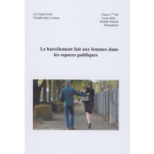 Travaux Personnels Encadrés : Le harcèlement fait aux femmes dans les espaces publiques