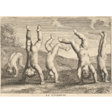 La Culebute.