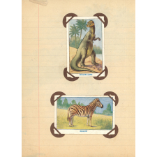 Cahier de sciences naturelles. Museum. 