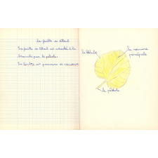 Cahier de leçons de choses. 