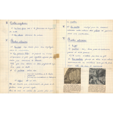 Cahier de sciences. 