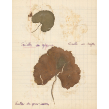 Cahier de leçons de choses. Cahier d'observations. 