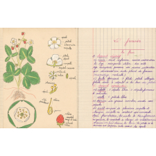 Cahier de sciences. 