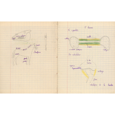 Cahier de sciences et d'histoire. 