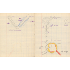 Cahier de sciences et d'histoire. 