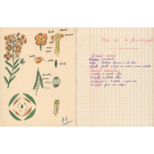 Cahier de sciences. 
