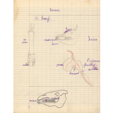 Cahier de sciences et d'histoire. 