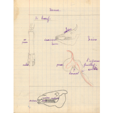 Cahier de sciences et d'histoire.