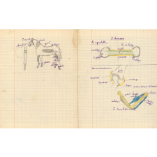 Cahier de sciences et d'histoire. 