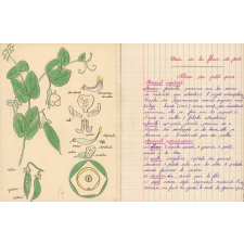 Cahier de sciences.