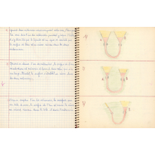 Cahier de sciences. 