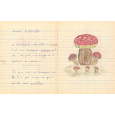 Cahier de leçons de choses et de géographie. 