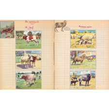 Cahier de leçons de choses. 