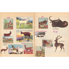 Cahier de leçons de choses. 