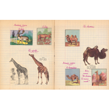 Cahier de leçons de choses. 