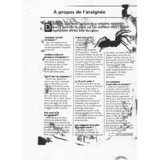 Leçons de choses. 