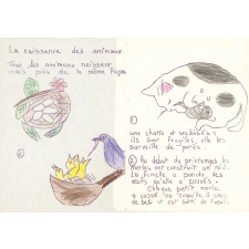 Cahier de leçons de choses