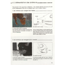 Cahier de leçons de choses