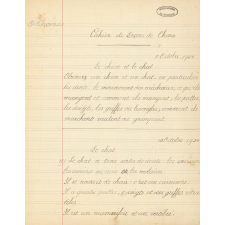 Cahier de leçons de choses.
