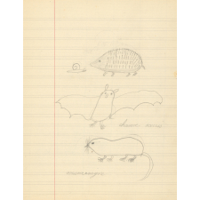 Cahier de leçons de choses.