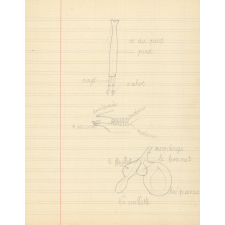 Cahier de leçons de choses.