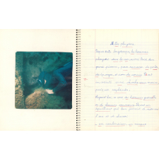 Cahier d'éveil.