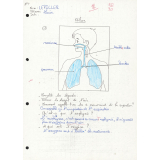 Devoirs de sciences. 