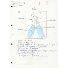 Devoirs de sciences.