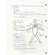 Devoirs de sciences. 