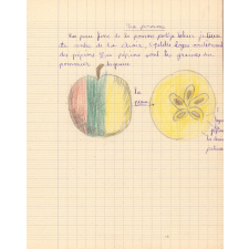 Cahier de sciences. 