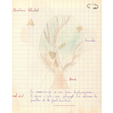 Cahier de leçons de choses. 