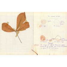 Cahier de leçons de choses. 