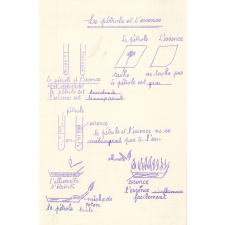 Cahier de leçons de choses.